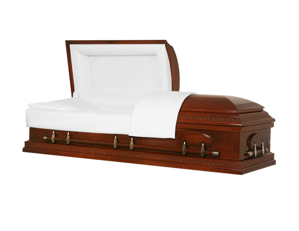 Aspen Poplar